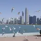 Burung camar terbang melintasi corniche (promenade tepi laut) Abu Dhabi di ibu kota Emirat pada 24 Januari 2022. (Dok: Karim SAHIB/AFP)