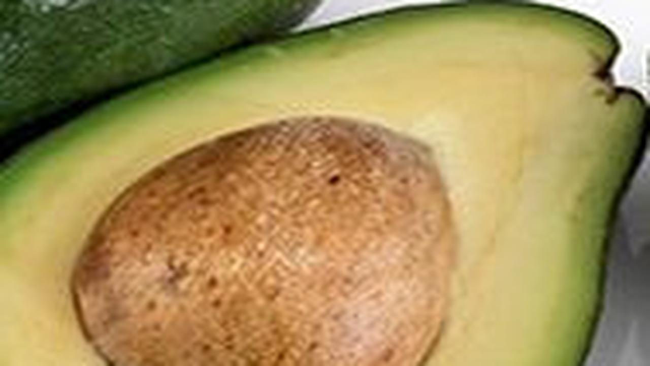 <b>3. Kandungan Nutrisi Daun Alpukat</b>