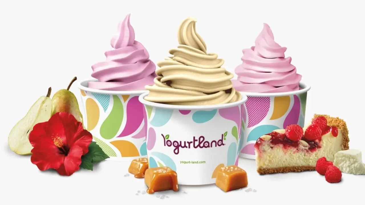 Yogurt