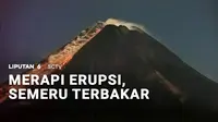 Ada rencana berwisata ke area pegunungan di akhir pekan ini? Perlu dipikir ulang. Gunung Merapi saat ini kembali erupsi, sementara kebakaran hutan dan lahan juga terus meluas di kawasan Semeru.
