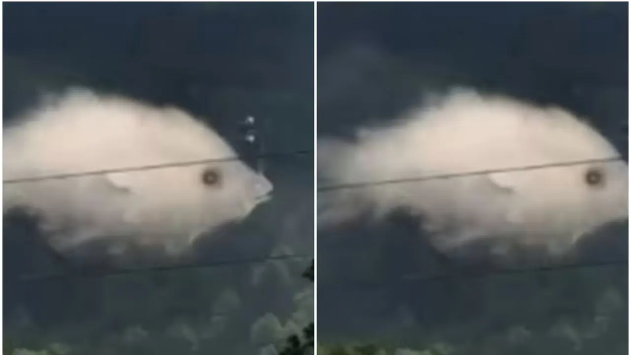 Ilusi Optik Gambar Awan