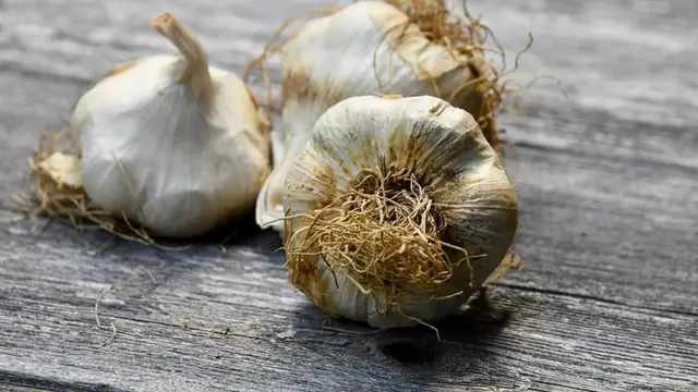 Menggunakan Bawang Putih