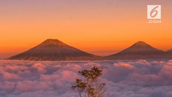 Perjalanan menuju puncak Gunung Telomoyo disuguhi pemandangan eksotis sehingga bisa sejenak lupa derita hidup. (foto: Liputan6.com/edhie prayitno ige)
