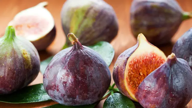 Foto: copyright ListVerse.com