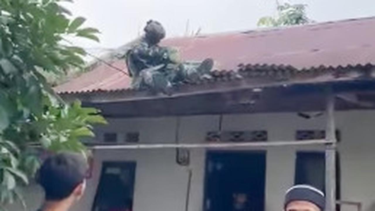 Kemunculan Prajurit TNI Penerjun Bikin Satu Keluarga Terkejut Keluar Rumah