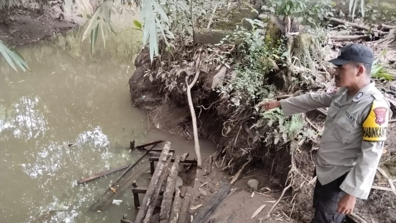 Lokasi kejadian Supriatin diterkam buaya ketika mencuci pakaian di pinggir Sungai Banjar Negoro.  Foto : (Istimewa).