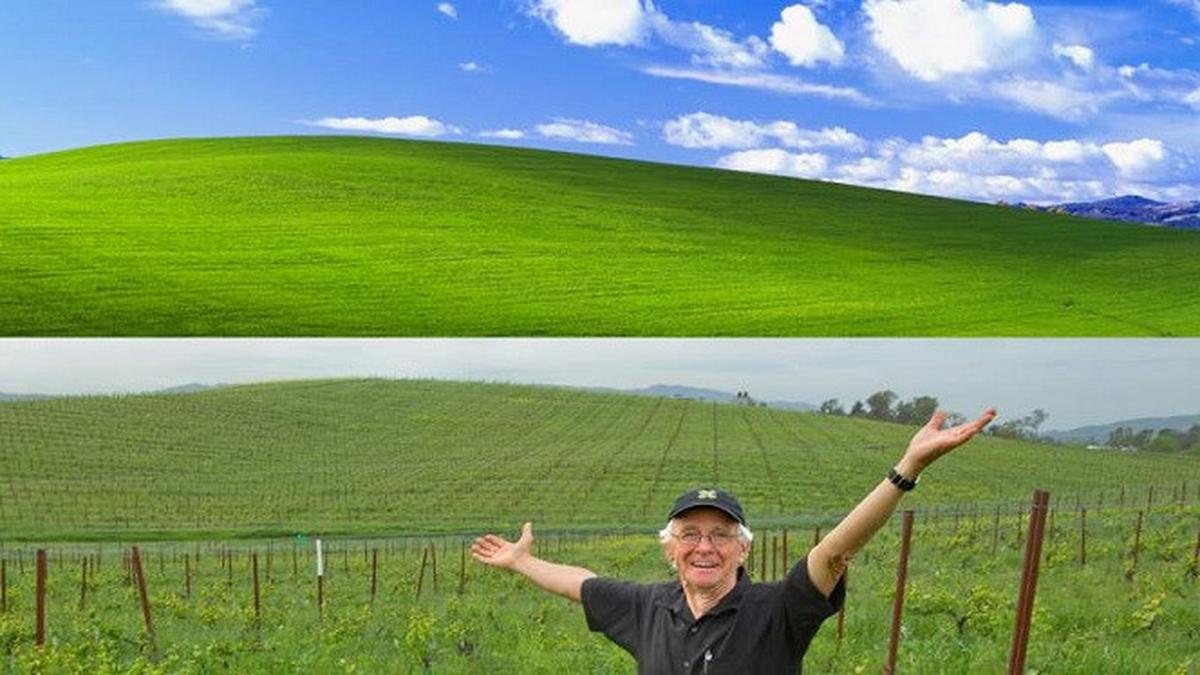 Kisah Di Balik Pemotretan Wallpaper Windows Xp Rp 1 4 Miliar Tekno Liputan6 Com