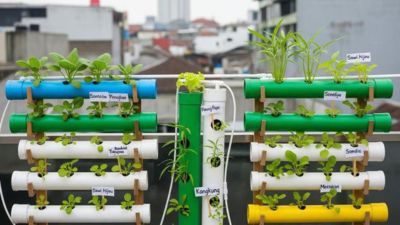 10 Model Kebun Mini untuk Anak-anak Belajar Berkebun di Rumah, Seru dan Edukatif