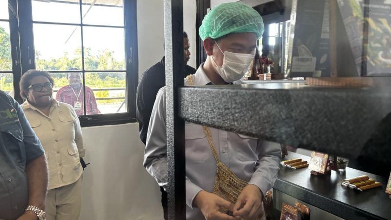 Wapres Gibran Kunjungi Manokwari Selatan, Tinjau Sentra Kakao dan Pabrik Cokelat
