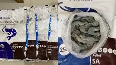 Berawal dari Foto Udang, Penggelapan Tambak Rp 500 Juta Terbongkar