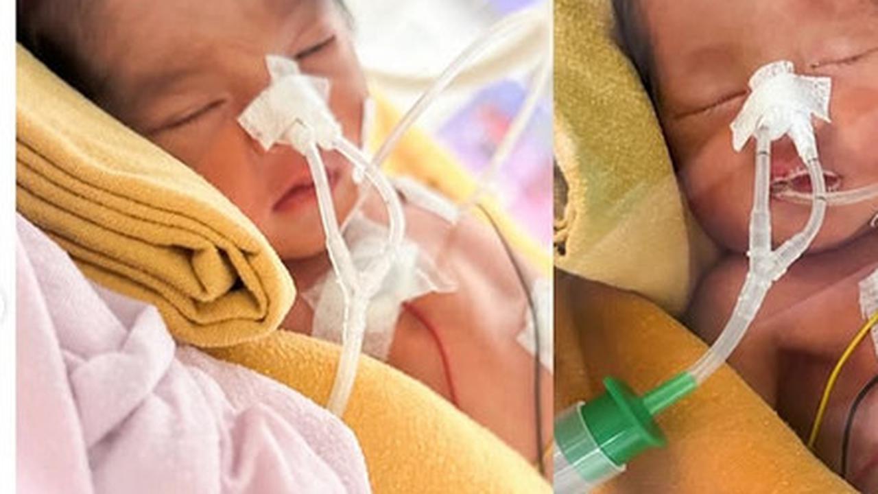 5 Potret Anak Kembar Laki-laki Ustaz Dennis Lim, Perjuangan 5 Tahun Berbuah Manis Lewat Bayi Tabung