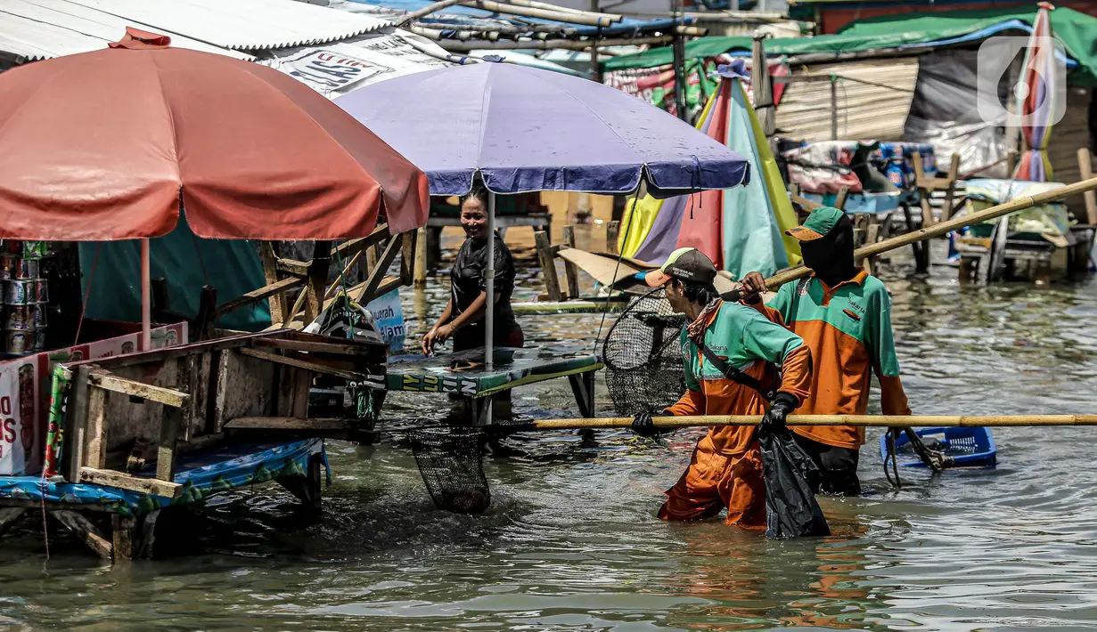 Petugas PPSU membersihkan sampah saat terjadi banjir rob di Pelabuhan Kali Adem, Muara Angke, Jakarta, Selasa (9/11/2021). Walau terendam banjir rob, petugas PPSU tetap sigap bersihkan sampah yang mengambang terbawa air laut. (Liputan6.com/Faizal Fanani)