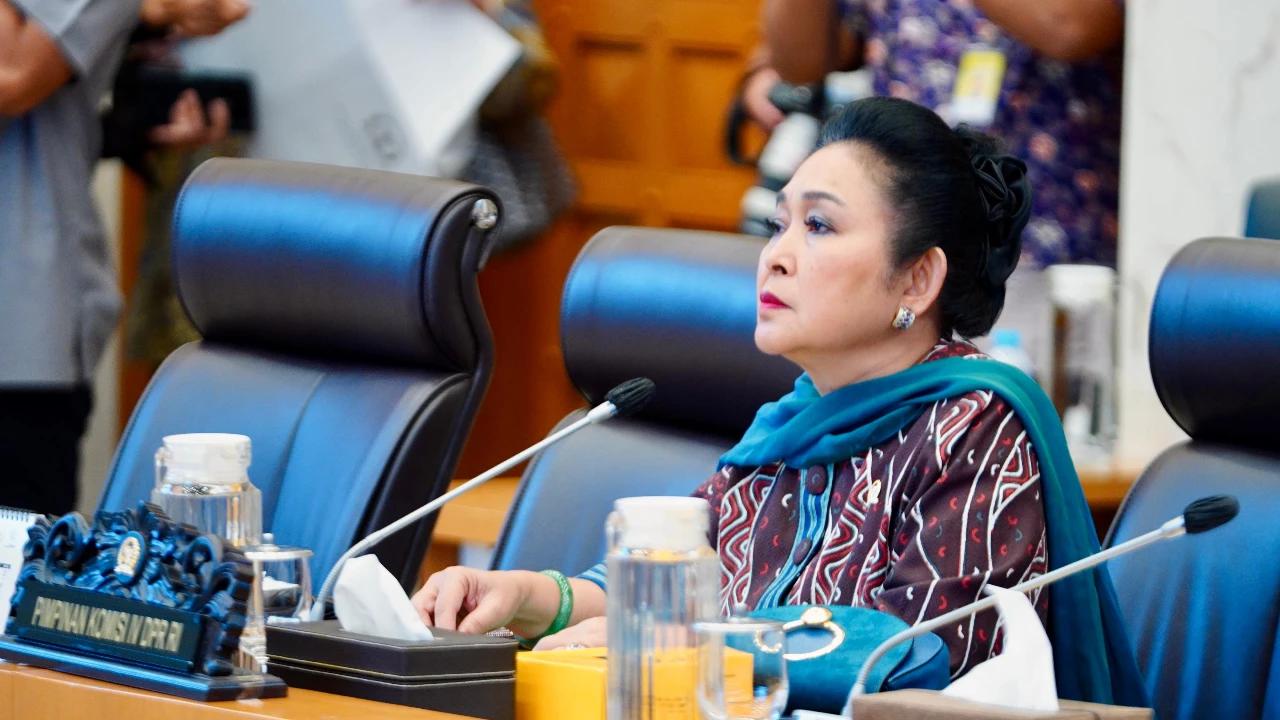 VIDEO: Titiek ke Menhut "Jangan Lihat Bintangnya, Kalau Rusak Hutan Tindak Pak Jangan Takut!"