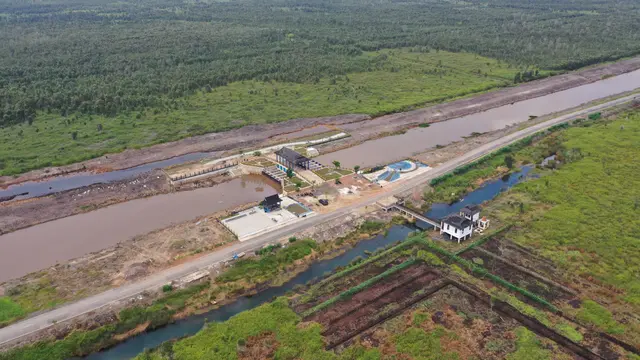 Mentan Amran: Kalimantan Tengah Bisa Jadi Solusi Pangan Indonesia