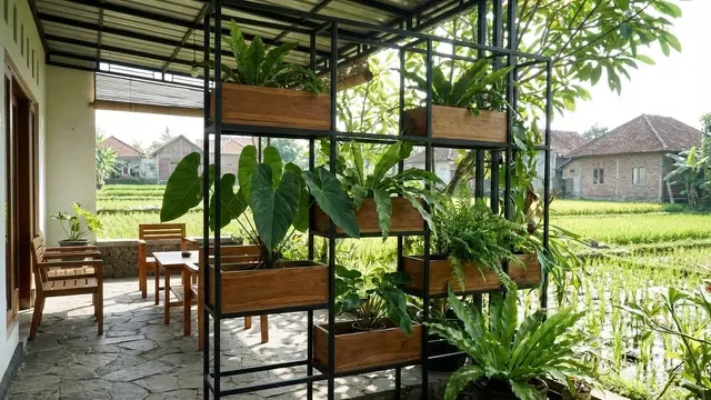 Teras Rumah Desa dengan Taman Vertikal