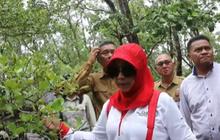 TNI Berduka Cita Istri Wiranto Meninggal Dunia