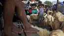 <p>Jika biasanya hanya menjual 400-500 hewan kurban, kini mencapai sekitar 900 ekor sapi serta 700 ekor kambing dan domba. (AP Photo/Dita Alangkara)</p>
