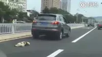 Anjing tersebut telah tewas sebelum warga menghentikan pengendara SUV, akibat luka parah di sekujur tubuhnya (Shanghaiist.com).