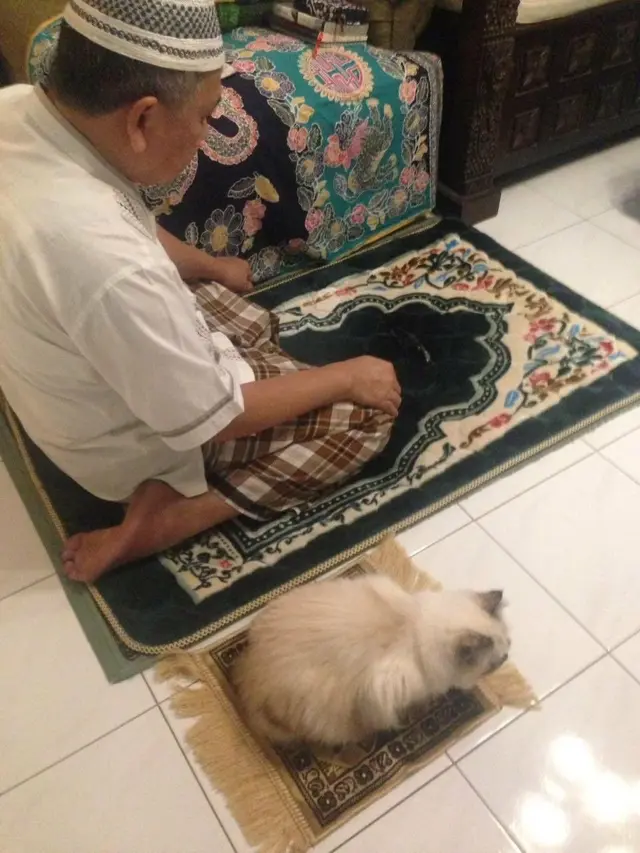 9 Potret Gemas Kucing Temani Orang Beribadah Ini Anteng Banget
