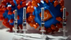 Kandidat vaksin Sinovac Biotech LTD untuk virus corona Covid-19 terlihat dipajang dalam Pameran Internasional China untuk Perdagangan Jasa (CIFTIS) di Beijing pada 6 September 2020. Untuk pertama kalinya, China akhirnya resmi memamerkan produk dalam negeri vaksin COVID-19. (NOEL CELIS/AFP)