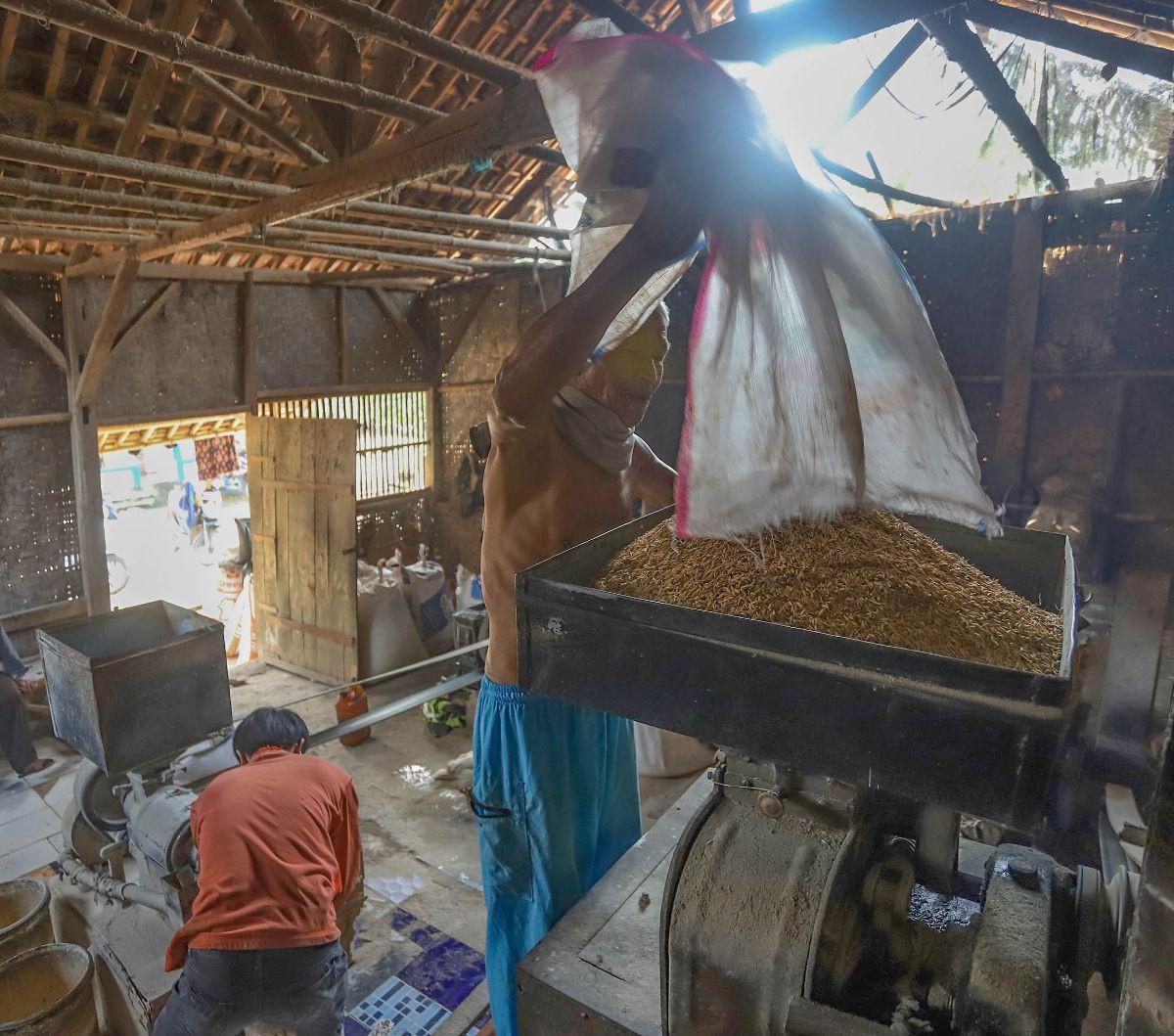 Pekerja menggiling gabah padi di Parung Panjang, Kabupaten Bogor, Jawa Barat, Selasa (9/7/2024).&nbsp;Badan Pusat Statistik (BPS) mencatat, harga beras naik lagi pada minggu pertama Juli 2024. Kenaikan harga beras ini tercatat sebesar 0,26 persen dibandin