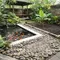 7 Cara Menggabungkan Kolam Ikan dan Kebun tanpa Membuat Halaman Becek, Asri dan Bersih