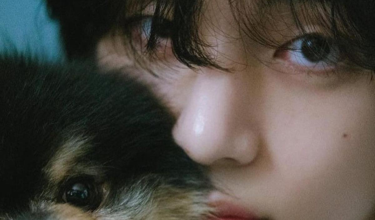 Pencapaian tersebut tak membuat V BTS puas. Dia masih rajin melakukan sejumlah kegiatan promosi untuk album debut solonya.&nbsp;