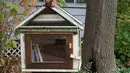 Perpustakaan Kotak Pos ini ada sekitar 300-400 di 24 negara, jika anda ingin mencari tahu dimana lokasi perpustakaan ini, anda dapat mencarinya di website littlefreelibrary.org.  (www.oddee.com)