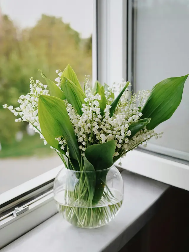 Bunga Lily of the Valley