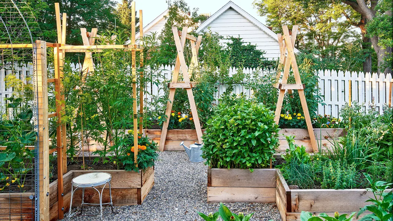 Raised Bed di Halaman