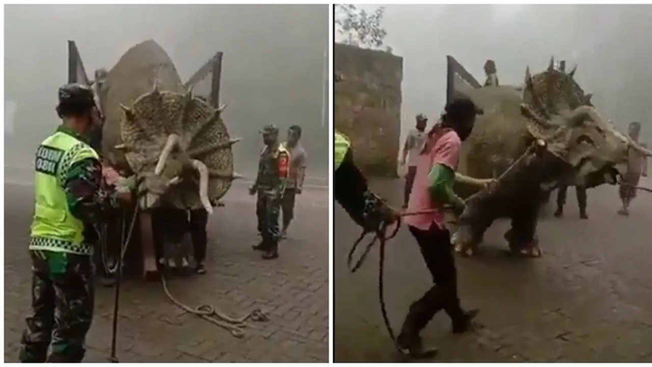 Heboh Video Dinosaurus Triceratops Muncul di Magetan, Ini Fakta Dibaliknya