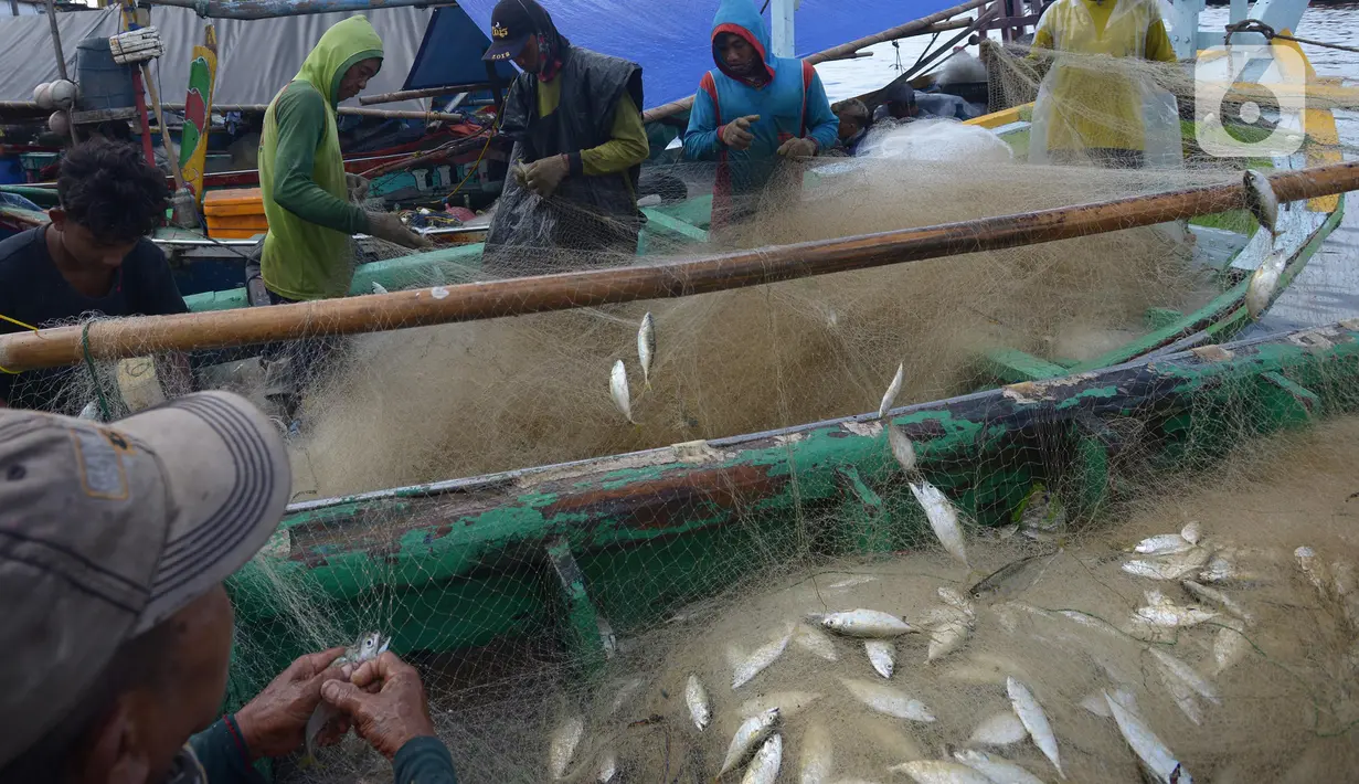 Nelayan mengumpulkan ikan hasil tangkapan di Pelabuhan Cilincing, Jakarta, Selasa (1/3/2022). Sejumlah komoditas ikan laut di pasaran mengalami kenaikan harga hingga 5 persen disebabkan cuaca buruk di laut dalam sepekan terakhir sehingga nelayan berhenti melaut sementara. (merdeka.com/Imam Buhori)