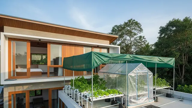 rumah minimalis 2 lantai dengan rooftop garden hidroponik anti bocor