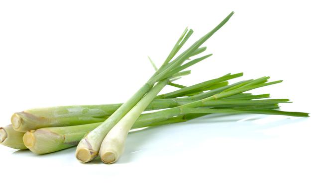 serai (sumber: iStock)