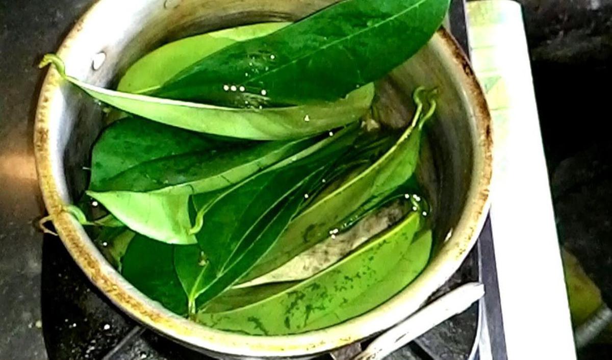 Minum segelas teh daun buah berdaging putih ini juga dapat membantu meredakan stres.