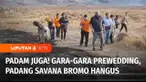 Gara-gara foto prewedding savana di Gunung Bromo terbakar, kemudian saat ini kebakaran lereng Gunung Bromo karena flare foto prewedding tersebut akhirnya padam. Polres Probolinggo pun langsung menggelar olah tempat kejadian perkara. Apa kira-kira has...