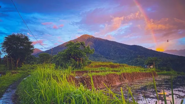 Gunung Batukaru, Gunung Tertinggi kedua setelah Gunung Agung di Bali @pesonapupuan