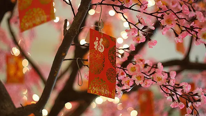 Sambut Imlek, Gembira Loka Zoo Yogyakarta Siapkan Pohon Angpao