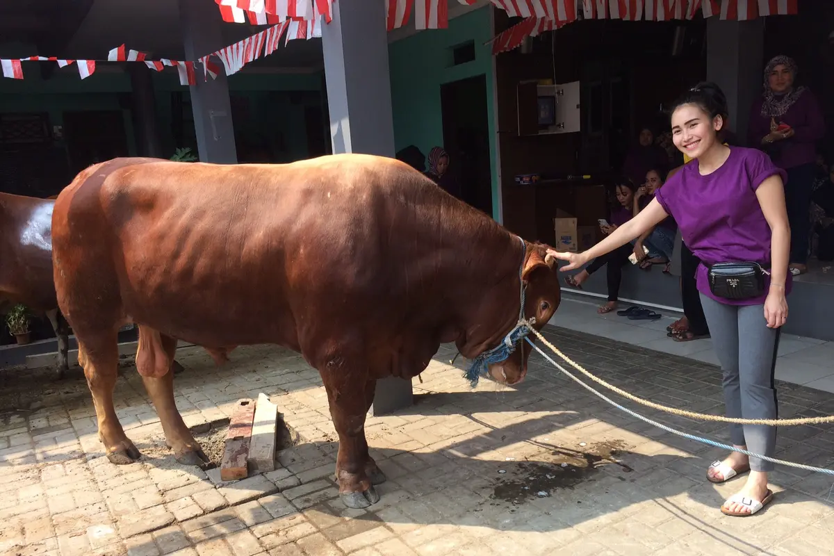 [Bintang] Ayu Ting Ting