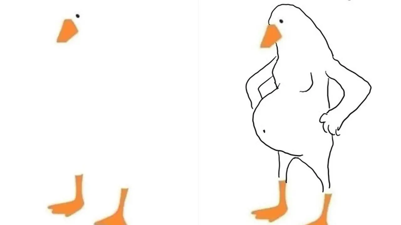 Pria Ini Minta Digambarkan Bebek oleh Netizen, 6 Hasilnya Kocak