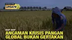 Krisis pangan berkali-kali disuarakan para pemimpin dunia sebagai ancaman global saat ini. Apa penyebab dan langkah yang perlu ditempuh Indonesia menghindari bencana ini?