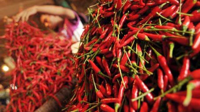 Ilustrasi Cabai Merah