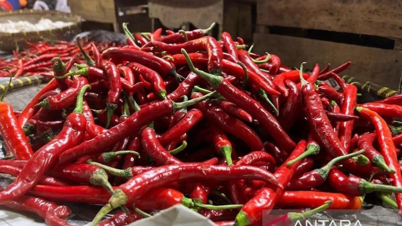 PIHPS Nasional Rilis Harga Pangan Nasional Terkini: Cabai Rawit Tembus Rp73.500/Kg