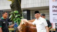 Kemenbud Kurban 23 Sapi Ras Bali dan Limosin Sambut Idul Adha, Kapan Dagingnya Dibagikan?