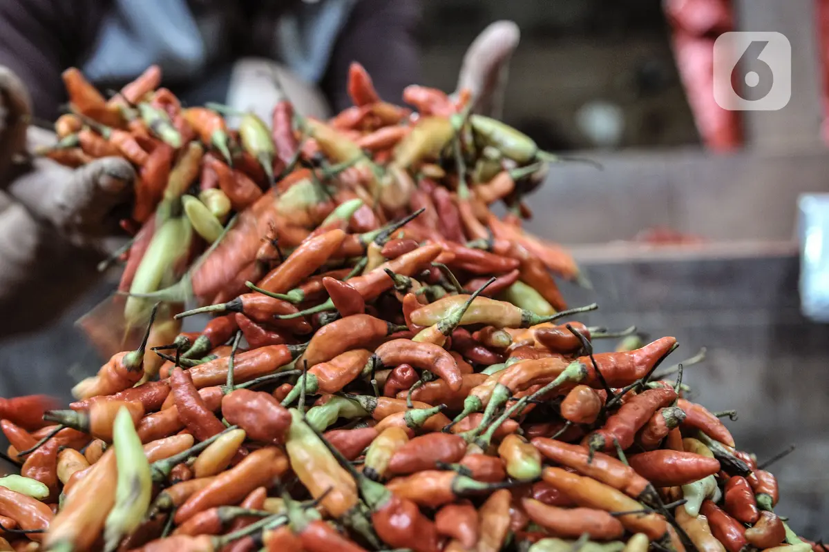 FOTO: Harga Cabai Rawit Merah Tembus Rp 120 Ribu per Kg