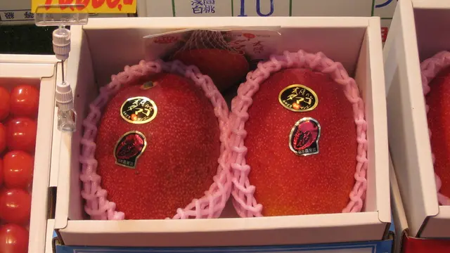 Buah Mahal Taiyo no Tamago