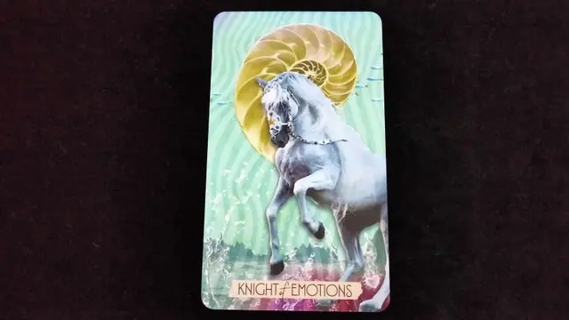 Knight of Emotions