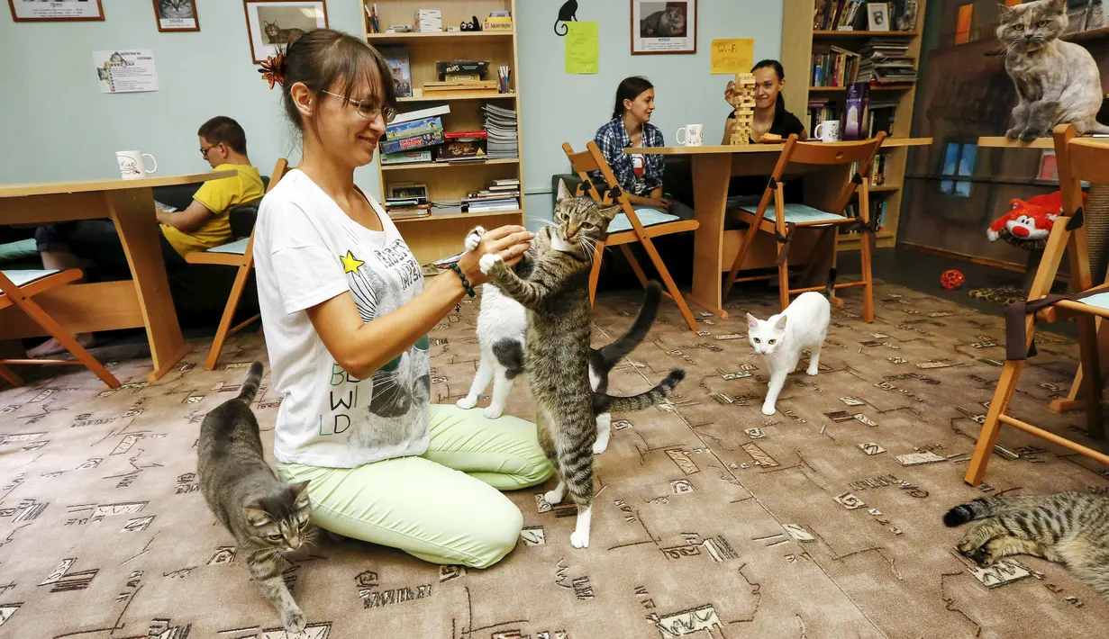 Selain anjing yang sudah diklaim sebagai sahabat manusia, kucingpun memiliki predikat yang sama. Memelihara kucing bisa menurunkan tingkat stres dan juga meningkatkan kesehatan jantung. (REUTERS/Ilya Naymushin)