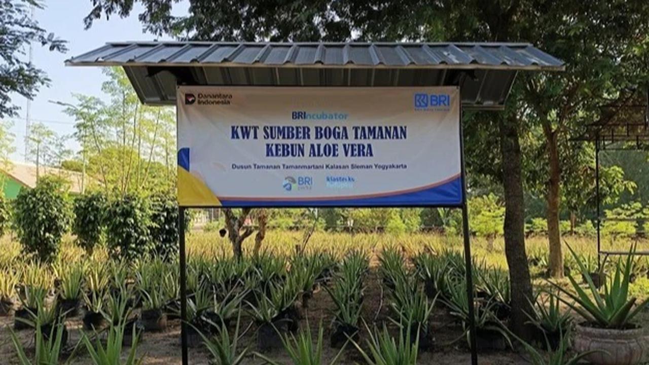 Kelompok Wanita Tani (KWT) Sumber Boga Tamanan di Kelurahan Tamanmartani, Kecamatan Kalasan, Kabupaten Sleman