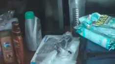 liputan6
